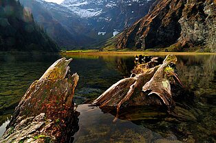 Flache Nahaufnahme von zwei Baumstämmen die aus einem Bergsee herausragen..im Hintergrund ist das grüne Tal und die Berge zu sehen
