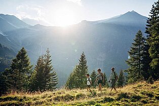 Mama, Papa und kleiner Sohn wandern durch die grüne Wiesen. Die grünen Nadelbäume und die berge im Hintergrund die sich zum Himmel erstrecken runden das Bild ab