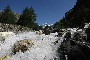 Frontalnahaufnahme eines plätscherten mit Steinen durchzogenen Flusses- im Hintergrund grüne Bäume und Berge