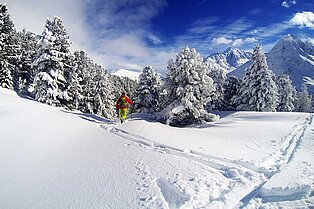 Hoch oben auf dem berg- einzelner Schneeschuhwanderer bahnt sich den Weg von der Ebene zum Wald