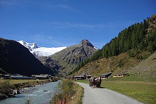 kleine Forststraße durch das rgüne Tal entlang einen kleinen Flusses- zwei Pferde ziehen eine Kutsche mit Gästen im hintergrund ein paar Almhütten und das Bergpanorama
