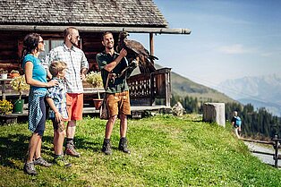 Mama, Papa und Kind bewundern den Adler der bei seinem Ranger auf dem Arm sitzt- im hintergrund eine kleine Alm